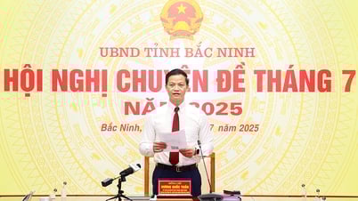Provincial People's Committee Conference in July: Approving some important contents