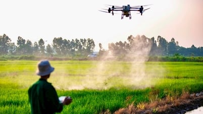 Neue Kräfte und Chancen für die Entwicklung der Hightech-Landwirtschaft