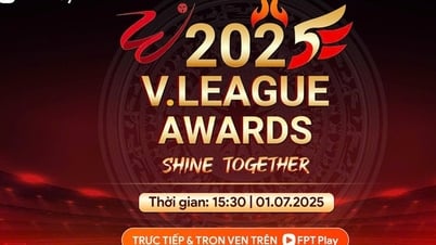 V리그 어워드 2025: 전통과 문화의 가치!