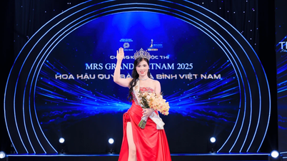Женщина-научный сотрудник представляет Вьетнам на конкурсе Mrs Grand International