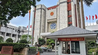 하노이는 지방자치단체와 자치구가 잉여 공공자산을 정리하고 처리하도록 1개월의 기한을 정했습니다.