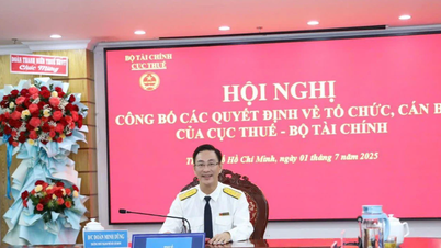 Ông Đoàn Minh Dũng làm tân trưởng Thuế TP.HCM