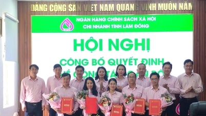 Chi nhánh NHCSXH tỉnh Lâm Đồng tổ chức Hội nghị giao ban 6 tháng đầu năm và công bố Quyết định về công tác cán bộ