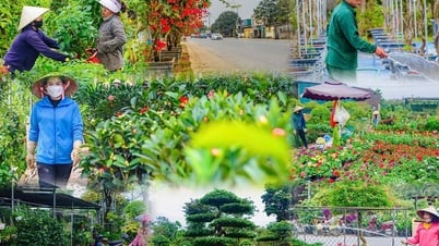Nghi Ân - từ làng nghề đến trung tâm hoa cây cảnh đô thị
