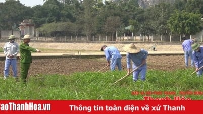 Nâng cao hiệu quả cai nghiện ma túy