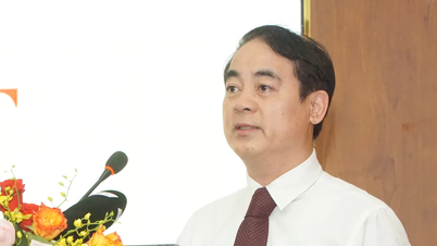 Khánh Hòa công bố Ủy viên UBND tỉnh nhiệm kỳ 2021 - 2026