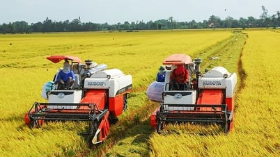 สำมะโนชนบทและเกษตรกรรมแห่งชาติ