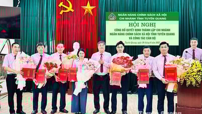 Công bố Quyết định thành lập Chi nhánh Ngân hàng Chính sách xã hội tỉnh Tuyên Quang và công tác cán bộ