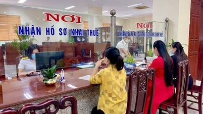 350 منشأة ضريبية جديدة تعمل رسميًا على مستوى البلاد، ويوجد في هانوي 25 وحدة