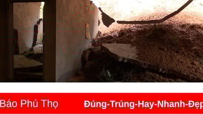 La comuna de Thanh Ba tiene más de 130 hogares afectados por deslizamientos de tierra.