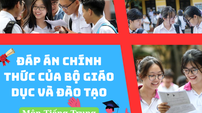Đáp án chính thức môn Tiếng Trung tốt nghiệp THPT 2025 của Bộ Giáo dục và Đào tạo