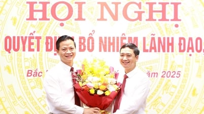 Bắc Ninh công bố quyết định bổ nhiệm lãnh đạo, quản lý sau sáp nhập