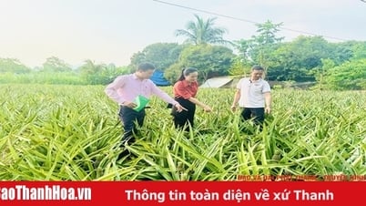 ធានាបាននូវប្រតិបត្តិការគោលនយោបាយឥណទានប្រកបដោយស្ថិរភាព និងរលូន