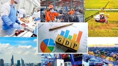 2025年後半の経済成長を牽引する4つの産業の予測