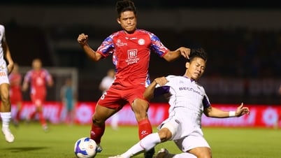 Football vietnamien : en attente de la transformation après la fusion