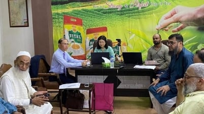 Phát triển ngành chè Việt Nam theo tiêu chuẩn Halal để tăng cường xuất khẩu sang Pakistan