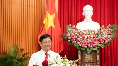 Đưa tỉnh An Giang mới bay cao và vươn xa