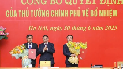 Mr. Ho Van Nien holds the position of Permanent Deputy Minister of the Ministry of Ethnic Minorities and Religions.