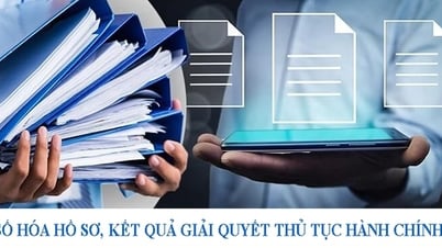 Bộ VHTTDL ban hành Kế hoạch ứng dụng dữ liệu số hóa trong tiếp nhận, giải quyết hồ sơ thủ tục hành chính