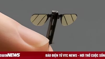 Technology 1/7: China announces mosquito-shaped micro drone
