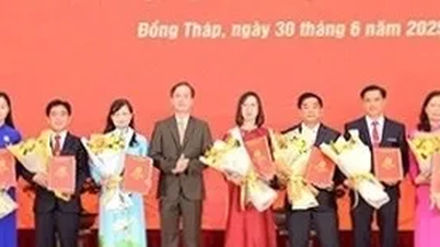 Détails des 102 sièges et liste des secrétaires et présidents des quartiers et communes de la province de Dong Thap