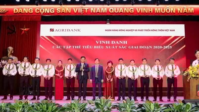 Agribank Party Committee: Solid core, leading the transformation of the entire system