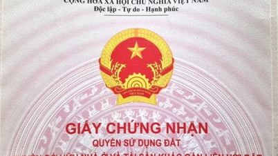 Từ ngày 1/7, chủ tịch ủy ban nhân dân cấp xã, phường trực tiếp ký cấp sổ đỏ