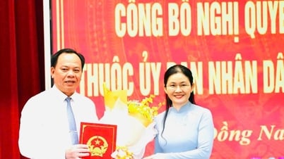 Important day, perfecting human resources work in Dong Nai province