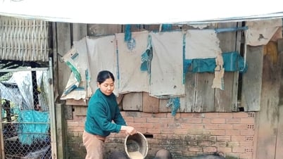 Les femmes de Dong Giang promeuvent le crédit politique en capital