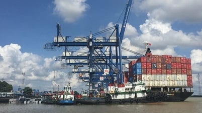 Vietnamese businesses pivot before the 'G hour' of tariffs