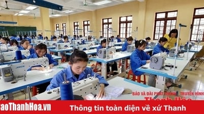 Hướng đi bền vững tại Trường Trung cấp nghề Miền núi