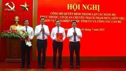 Công bố thành lập các cơ quan chuyên trách trực thuộc Tỉnh ủy Quảng Trị sau hợp nhất
