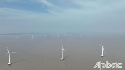 Đầu tư Dự án Nhà máy Điện gió Tân Thành với nguồn vốn 4.700 tỷ đồng