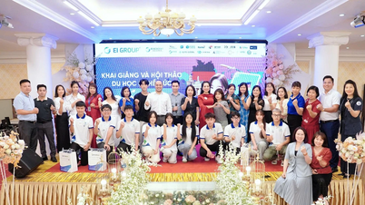 EI Group successfully organized the Opening Ceremony and Seminar on Vocational Study in Germany
