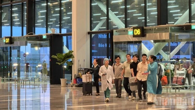 Hành trình hồi sinh sự sống trên chuyến bay đặc biệt của Vietnam Airlines