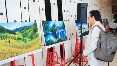 Exposition photographique « Vietnam – Identité, humanité et intégration » au siège de l’ONU