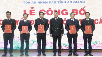 Tòa án nhân dân tỉnh An Giang công bố các quyết định về công tác cán bộ