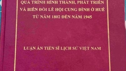 วิทยานิพนธ์ระดับปริญญาเอกที่ถูกกล่าวหาว่า “ลอกเลียน” ในเว้จำเป็นต้องยอมรับและแก้ไขข้อผิดพลาด