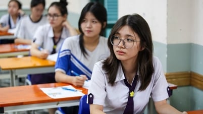 Giáo viên nước ngoài nhận xét gì về độ khó đề thi tiếng Anh của Việt Nam?