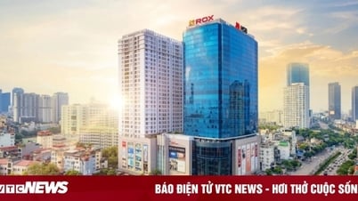مفتاح ROX: إطلاق نظام بيئي شامل للخدمات في العصر الرقمي