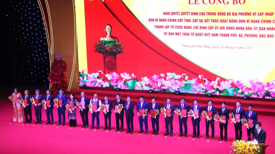 Liste des principaux dirigeants des 94 quartiers, communes et zones spéciales de la nouvelle ville de Da Nang