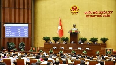 'Sắp xếp lại giang sơn' - bước chuyển mình lịch sử vì sự phát triển bền vững