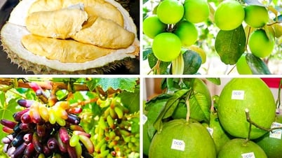 Tạo nên hệ sinh thái nông nghiệp đa dạng bậc nhất cả nước