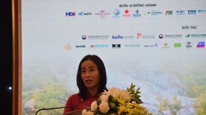 Phát hiện và bồi dưỡng tài năng điện ảnh từ kinh nghiệm quốc tế