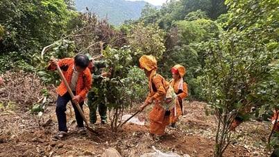 Sowing livelihood, warming the border