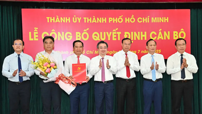 គណៈកម្មាធិការអចិន្ត្រៃយ៍នៃគណៈកម្មាធិការបក្សទីក្រុងហូជីមិញបានប្រកាសនិងផ្តល់រង្វាន់ដល់ការសម្រេចចិត្តរបស់បុគ្គលិក។