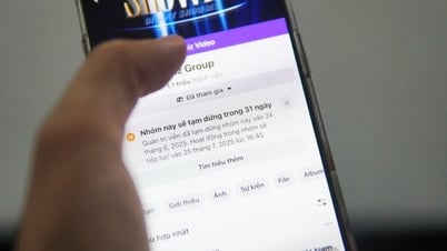 Una serie de grupos de Facebook en Vietnam dejaron de funcionar