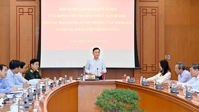 [사진] 쩐 깜 투(Tran Cam Tu) 서기국 상임위원이 당위원회, 사무실, 당위원회, 기관 및 중앙기관과의 회의를 주재했습니다.