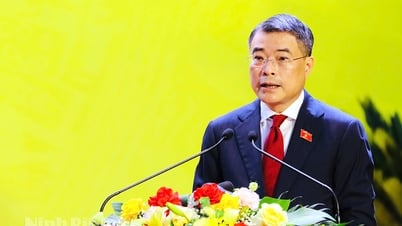 革命の伝統を推進し、勇気、知性、団結、そして強い決意を表明して、ニンビン省を紅河デルタ地域の重要な成長の中心に築き上げます。