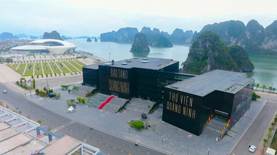Ngắm diện mạo Hạ Long - phường 'thủ phủ' của Quảng Ninh